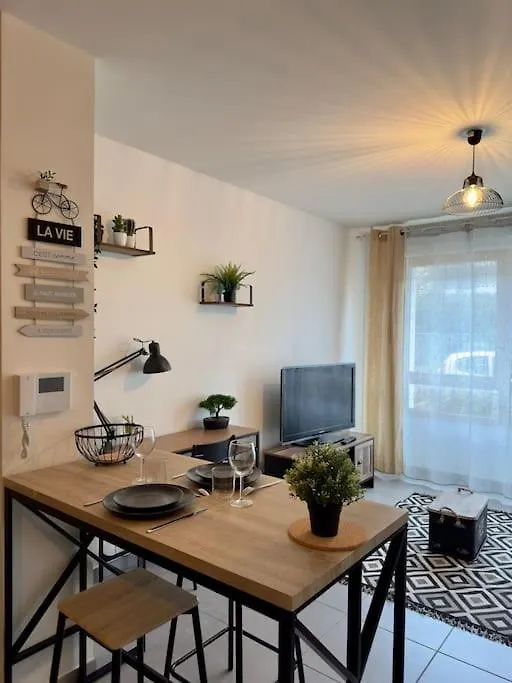 Villeurbanne • T2 Maubant • Hostisy France